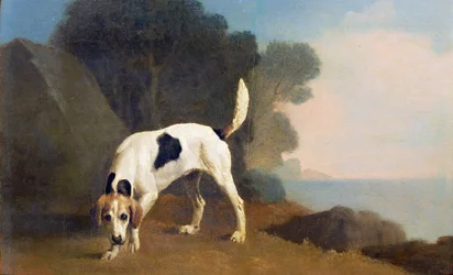 Foxhound op het spoor, c.1760